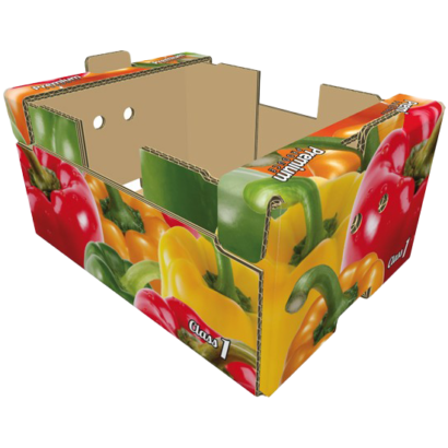 A Box Koliler